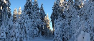 Der nächste Winter kommt bestimmt…. Der nächste Winter kommt bestimmt….